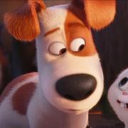 Icarus95的个人资料头像