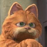 胖猫大黄头像