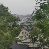 山鹰9442头像