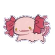 IF108的个人资料头像