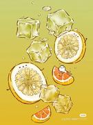 技术炘萌的个人资料头像