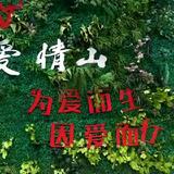 辛福一家292头像