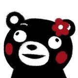ProjectD206头像