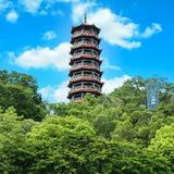 大院蜗牛哥头像