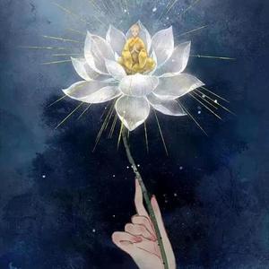 菩提妙法头像