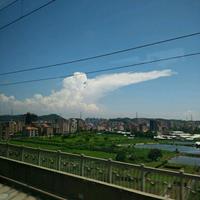 简简单单23230头像