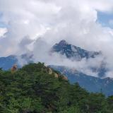 炭中取栗头像