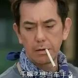 来自广东的老实人头像