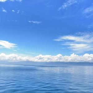 海阔天空头像
