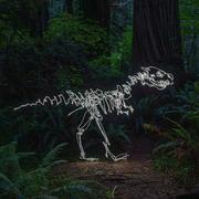 Immorr的个人资料头像