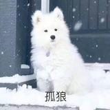 鑫鑫22112头像