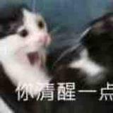 少年与狗9644头像