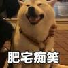 籽元头像