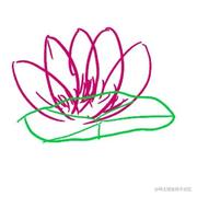 心平气和朋友们的个人资料头像