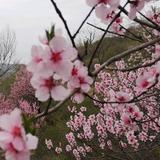 用户5280714161401头像