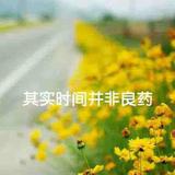 拼搏者405头像