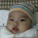 双木成林本尊的个人资料头像