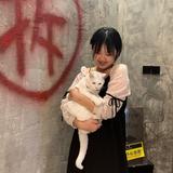 其乐融融固原4c8头像