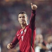 巴洛特利的个人资料头像