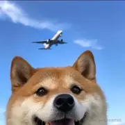 孟江河的个人资料头像