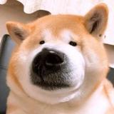 gggggggggg头像