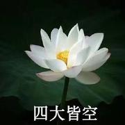 Yan04的个人资料头像