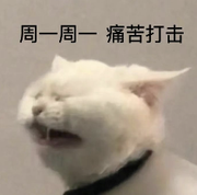 爱吃菜的汪的个人资料头像