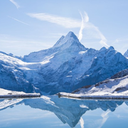 许国栋的个人资料头像