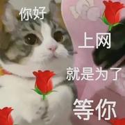 raychou的个人资料头像