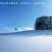 抛个异常的个人资料头像