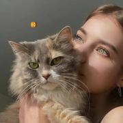 Milchstra的个人资料头像