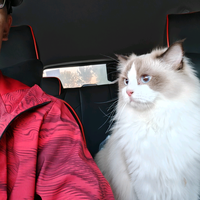 6号楼13楼3门吴彦祖头像