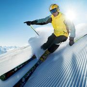 打工人66的个人资料头像