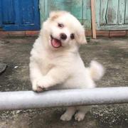 用户2900777147057的个人资料头像