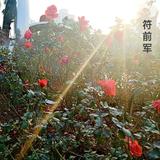 战神23003头像