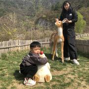 风继续吹呀吹的个人资料头像