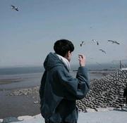 柒寻梦屿的个人资料头像