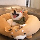 用户3920244165425头像