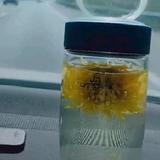 铮~头像