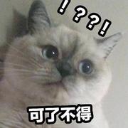 风吹千里不问归期的个人资料头像