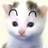yt冲鸭头像