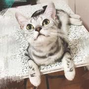 ImGod的个人资料头像