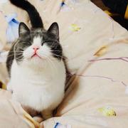 七里香synk的个人资料头像