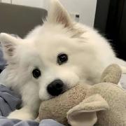 梅津寺町142的个人资料头像