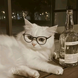 詹杏十一头像
