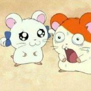 PasserZ的个人资料头像