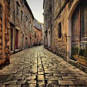 allenxzy的个人资料头像