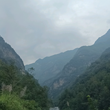 饲养员学做菜头像