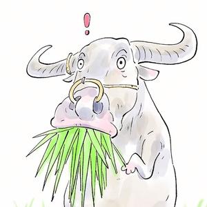 今朝见闻头像