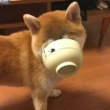 海洋96978头像